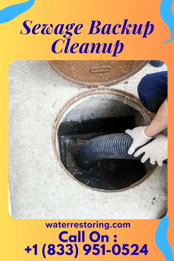 Sewage Backup Cleanup in Merrimac, VA